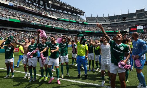 “Palmeiras entrou para vencer e o Botafogo empatar”, diz Quesada