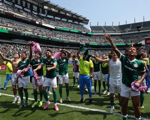 “Palmeiras entrou para vencer e o Botafogo empatar”, diz Quesada