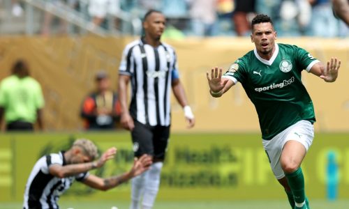 Palmeiras provoca o Botafogo após jogo no Mundial de Clubes: ‘É bairro’