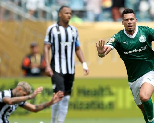 Palmeiras provoca o Botafogo após jogo no Mundial de Clubes: ‘É bairro’